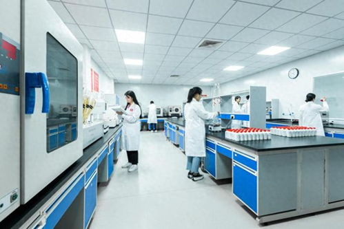 不看不知道，原來白酒和健康的關系這么奇妙——數字技術服務賦能新認知